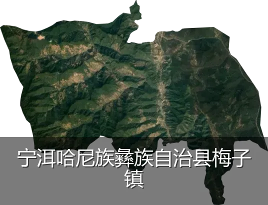 宁洱哈尼族彝族自治县梅子镇